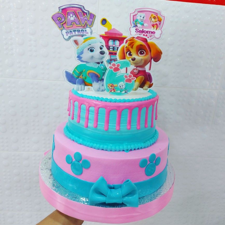 pastel paw patrol niña