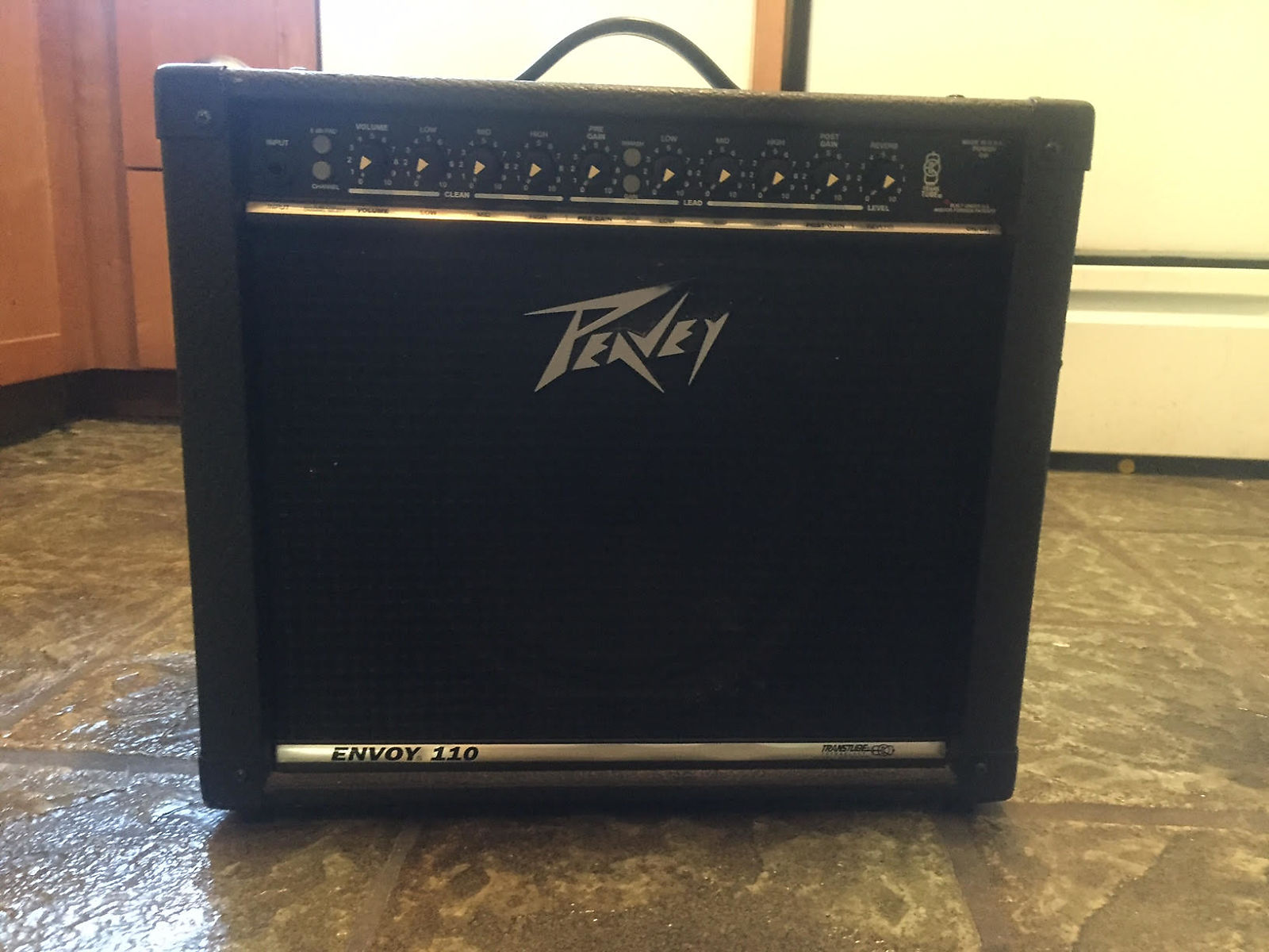 peavey envoy 110