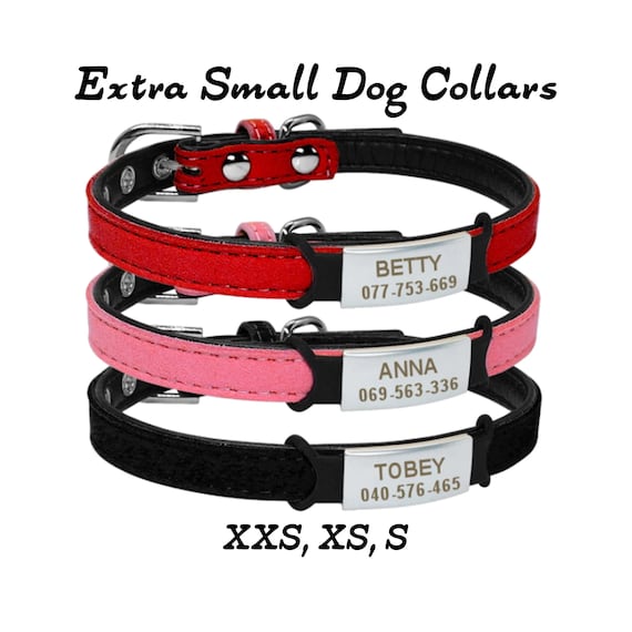 personalized puppy collars