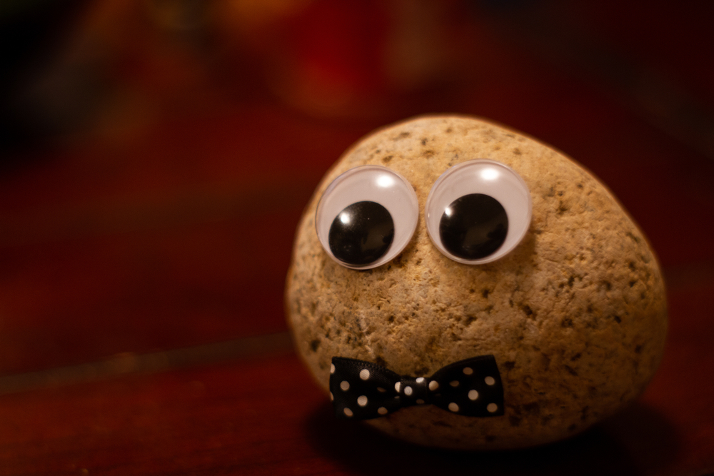 pet rock names generator