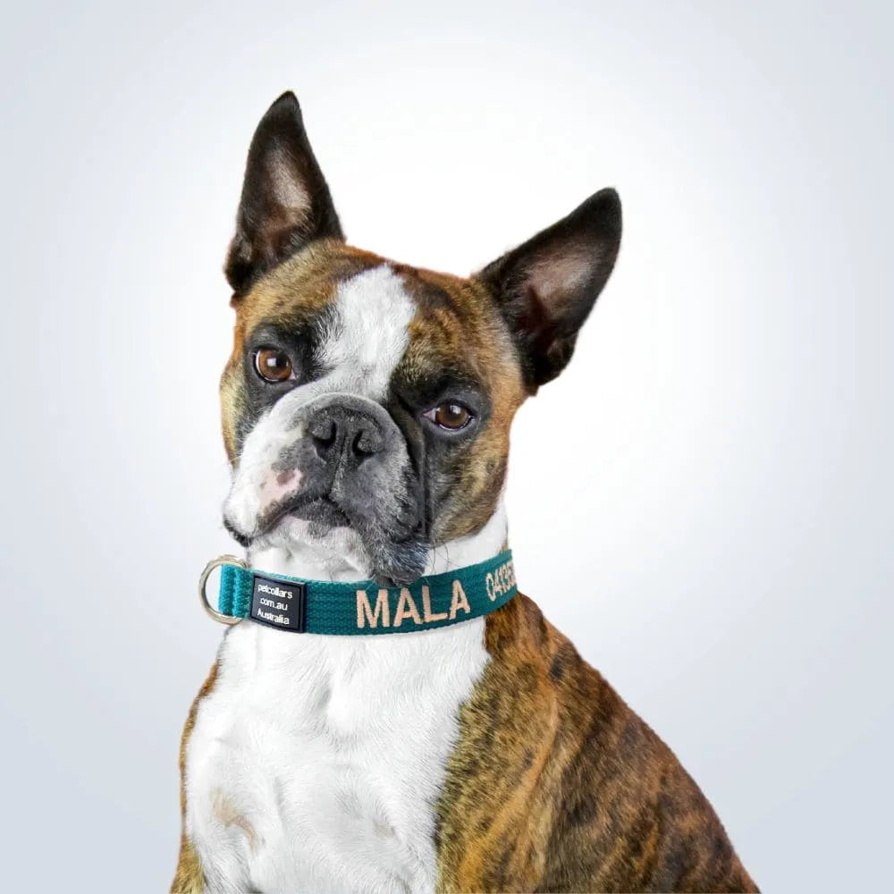 petcollars.com.au reviews