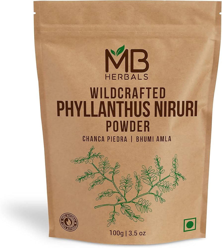 phyllanthus niruri powder