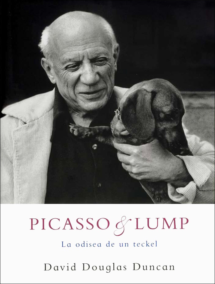 picasso and dachshund