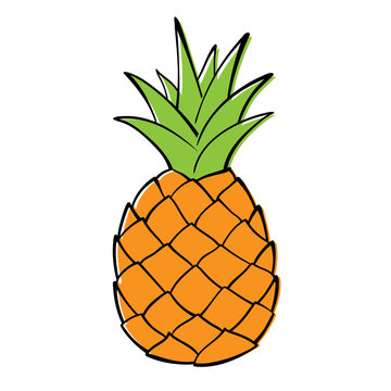 pineapple cartoon