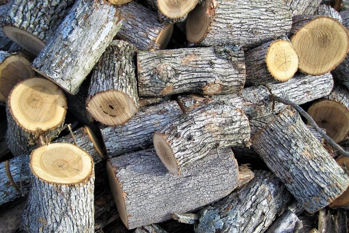 places to buy firewood near me