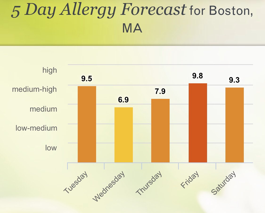 pollen count boston ma today