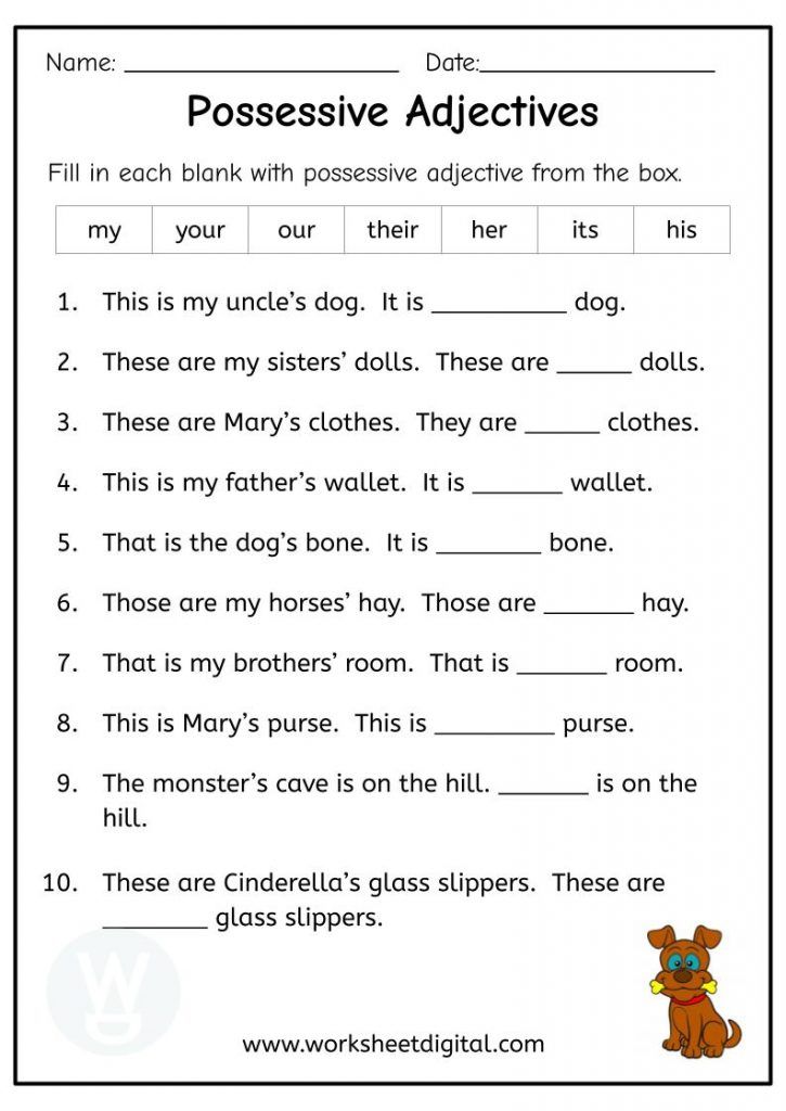 possessive adjective worksheet for grade 1