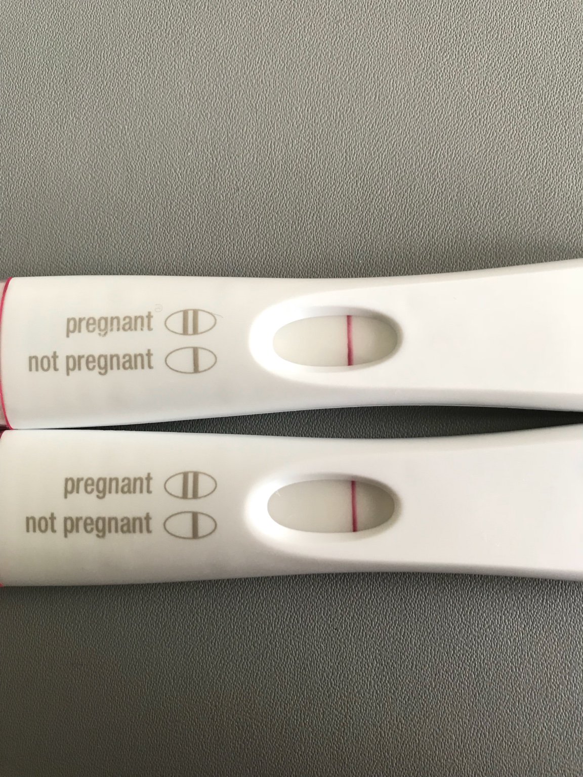 pregnancy test 14dpo