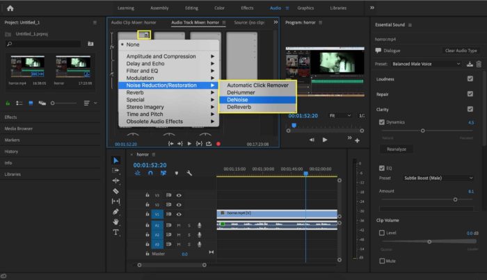 premiere pro remove echo