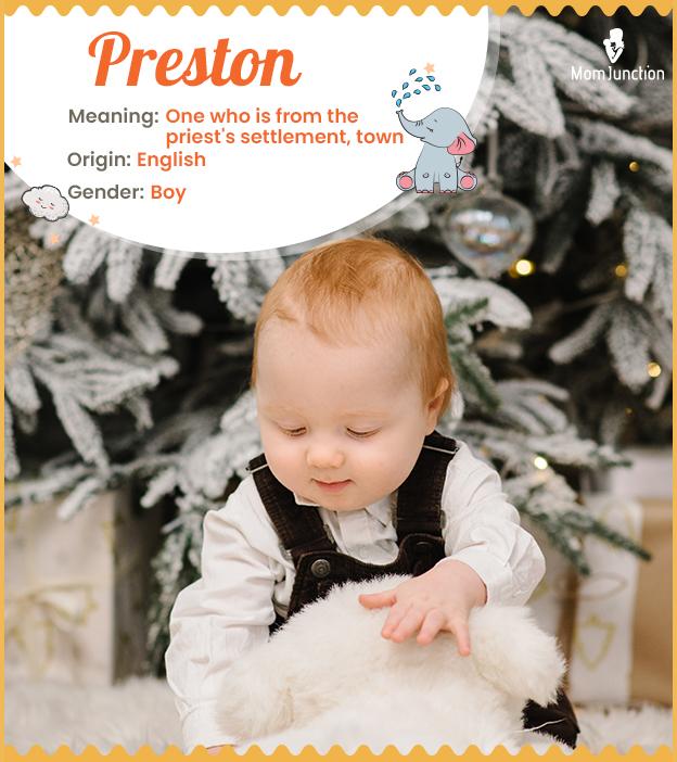 preston meaning in hindi