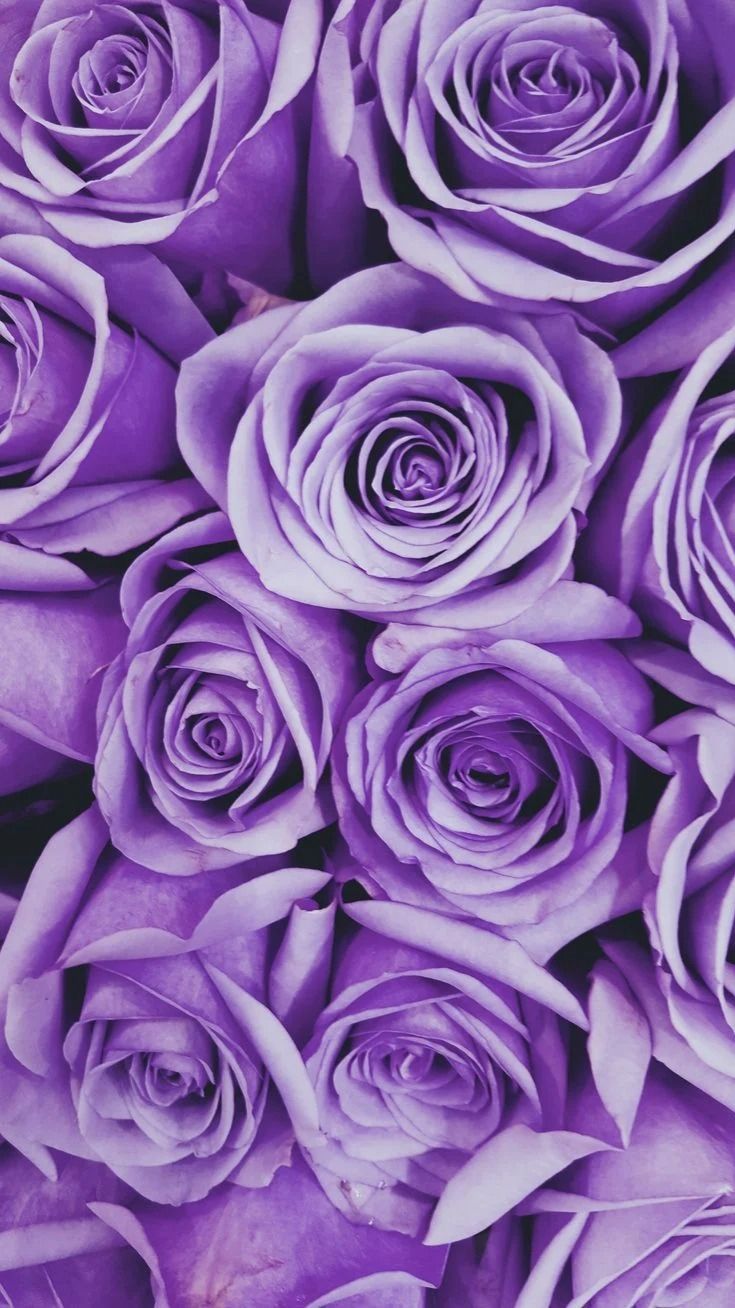 purple aesthetic