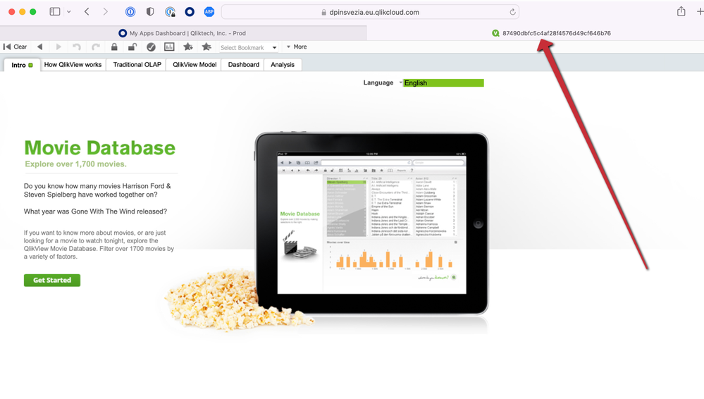 qlik browser