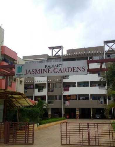 radiant jasmine garden