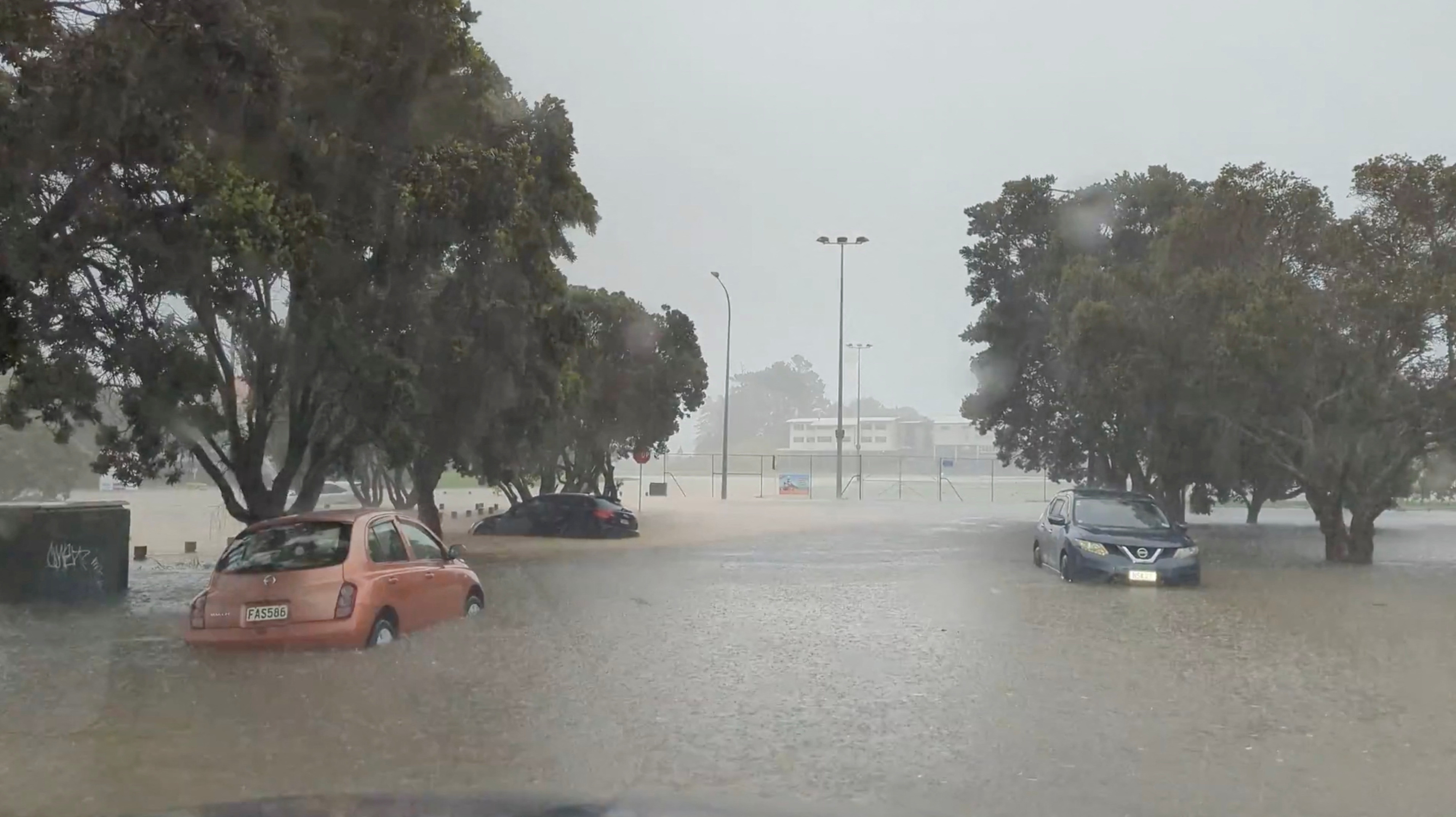 rain in auckland today