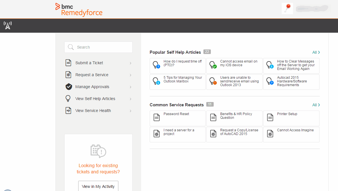 remedyforce self service