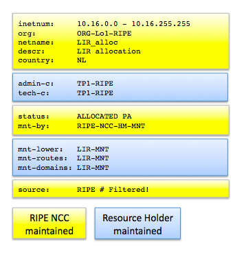 ripe db