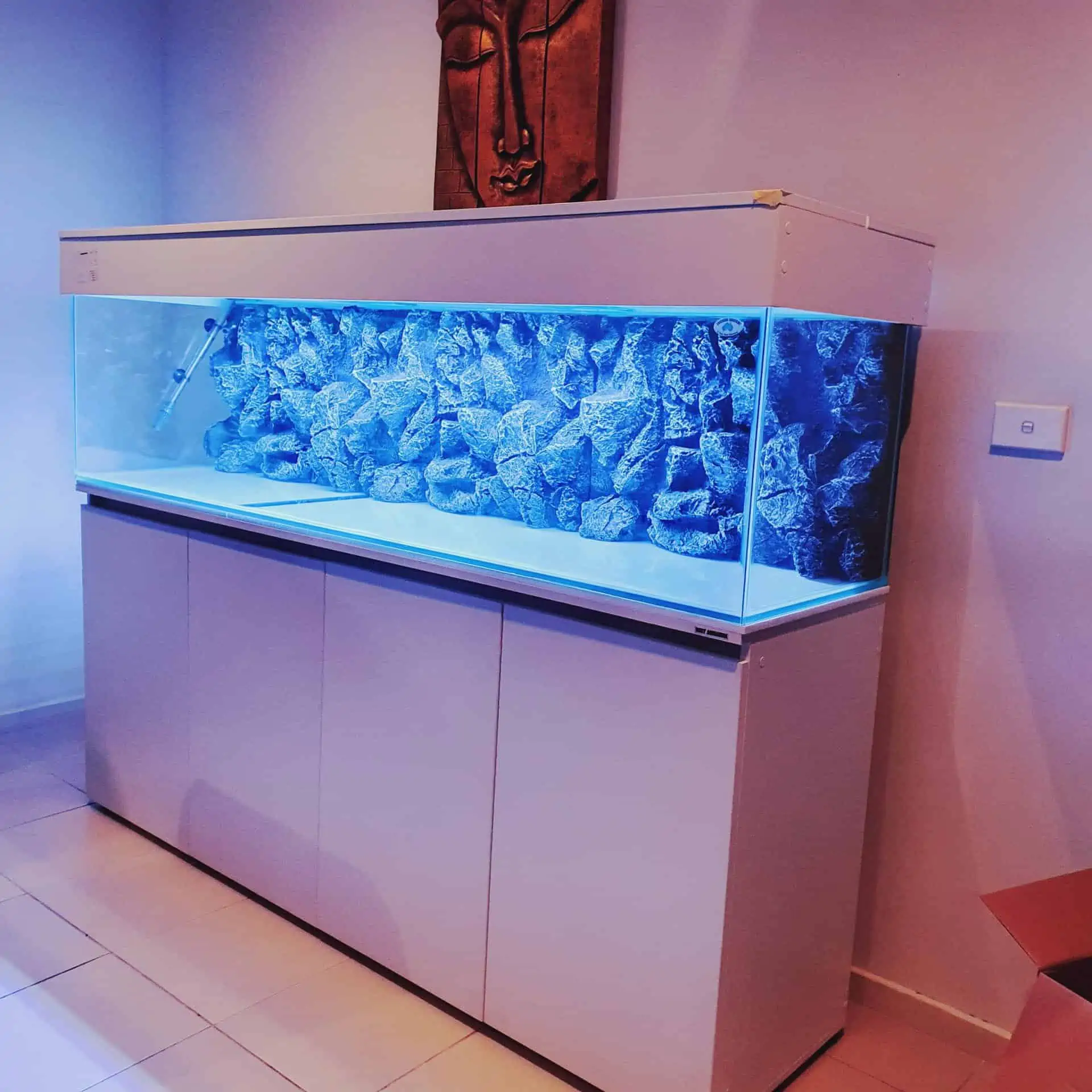 roxy aquarium