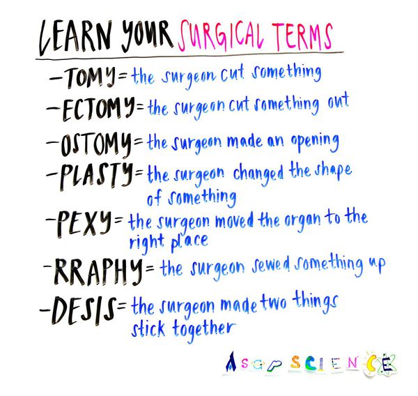 rrhaphy medical term