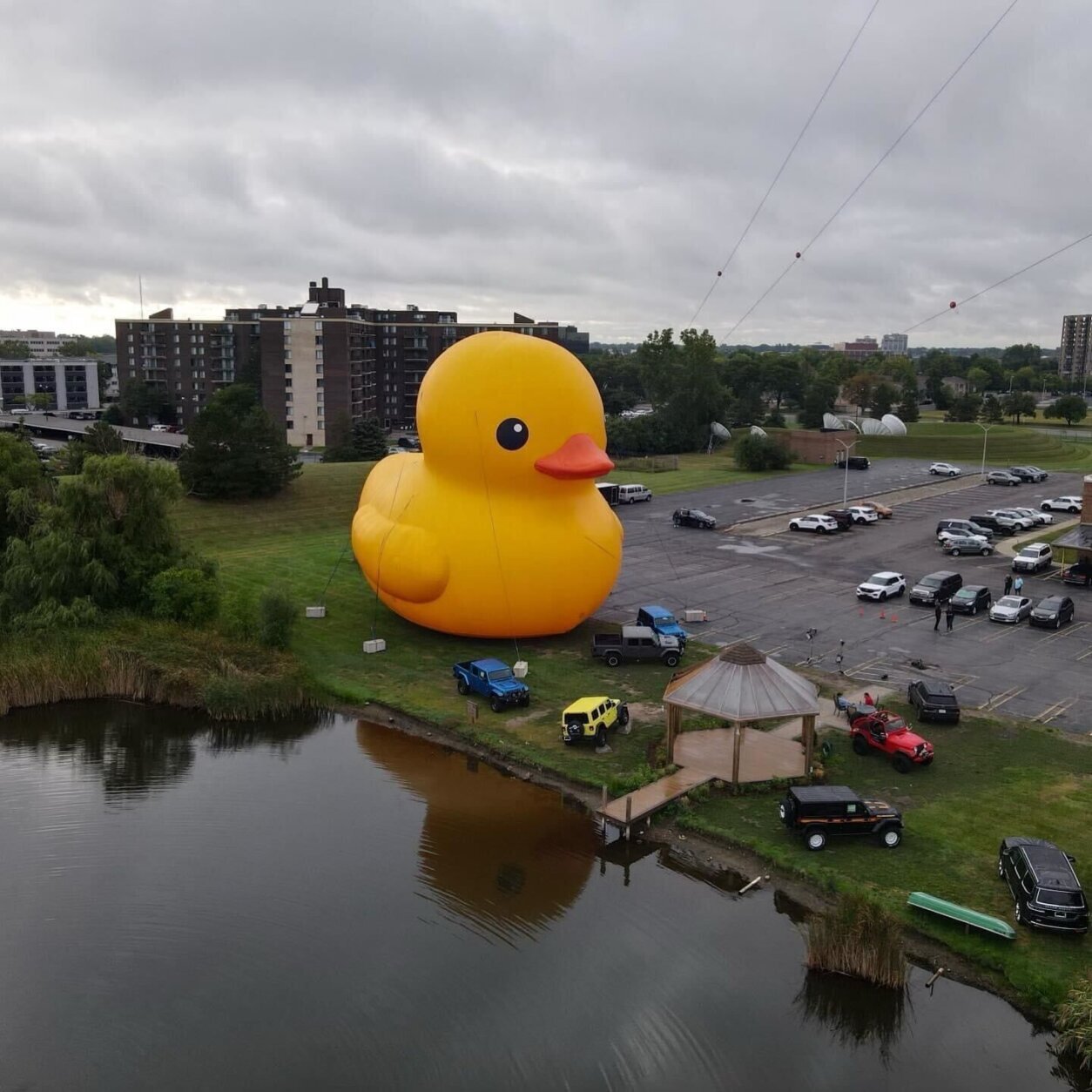 rubber duck in leonardtown md