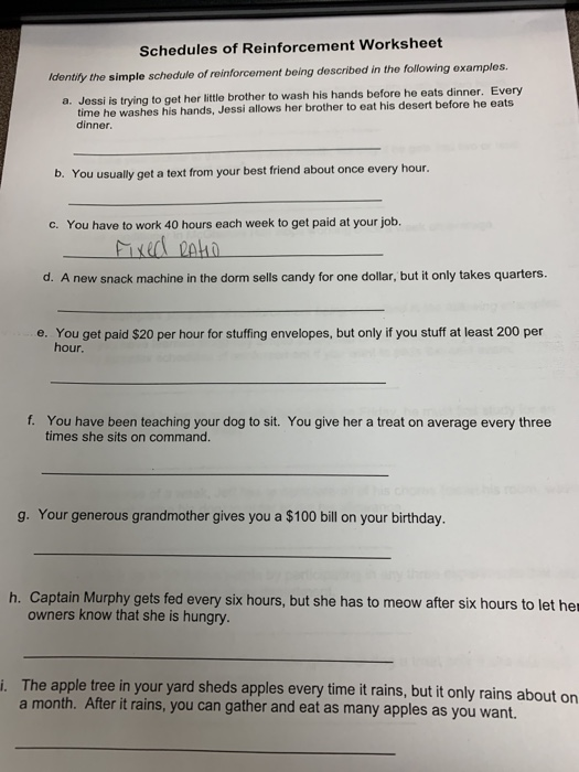 schedules of reinforcement worksheet with answers