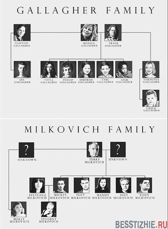 shameless us family tree