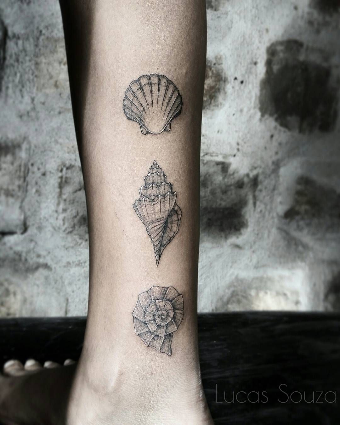 shell seashell tattoos