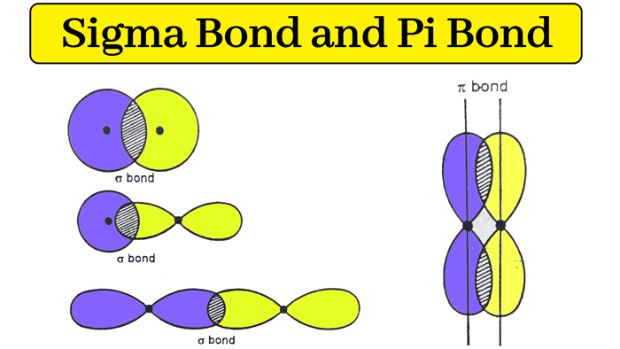 sigma bond and pi bond examples