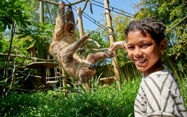 sloth sanctuary uk near me