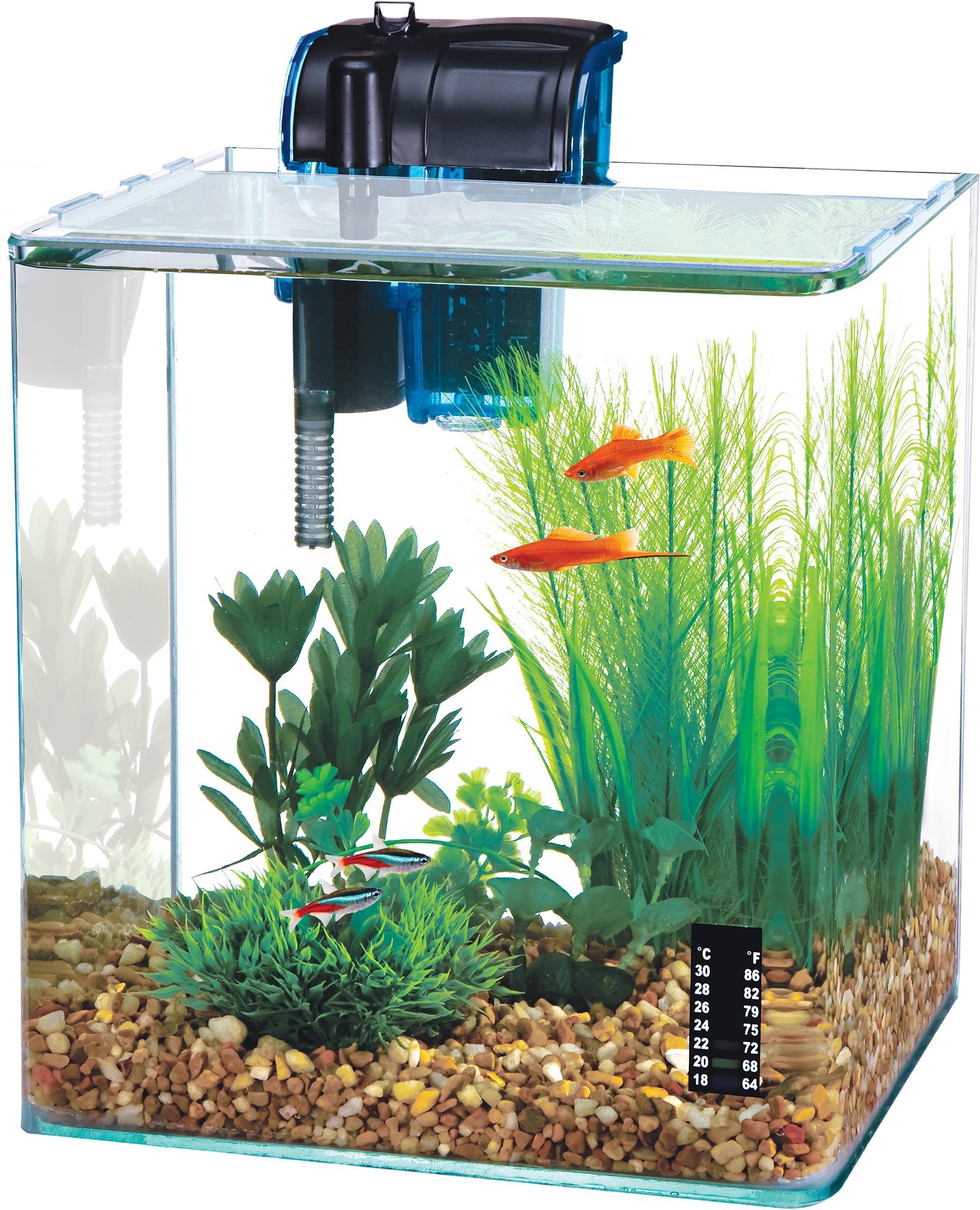 small fish tanks for sale