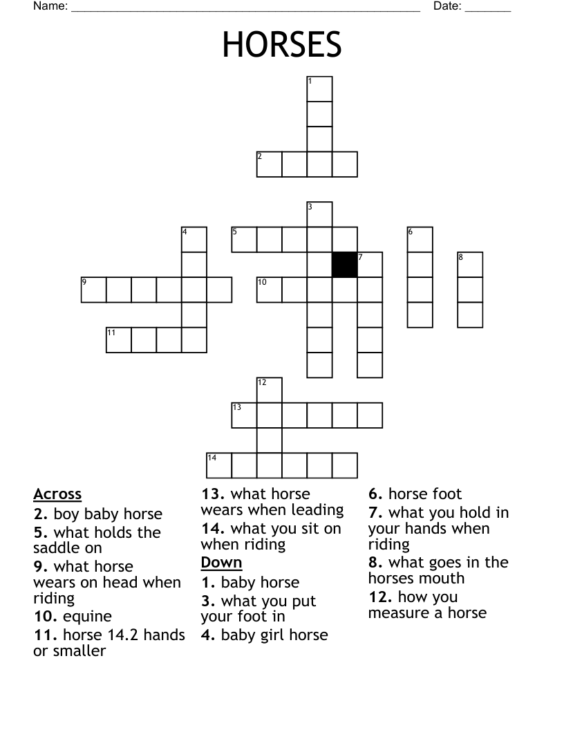 small horse crossword clue