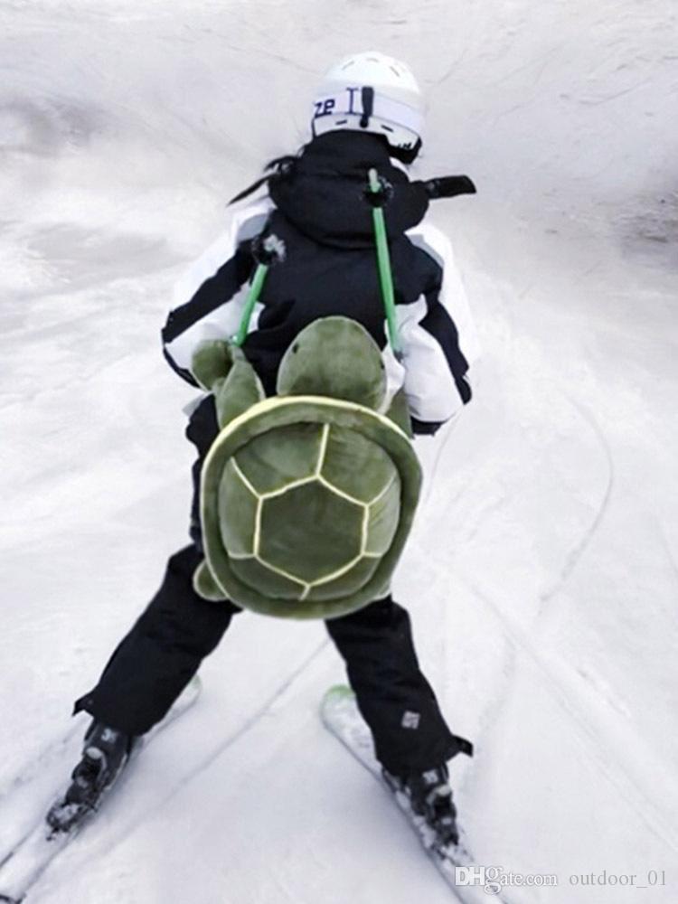 snowboard turtle