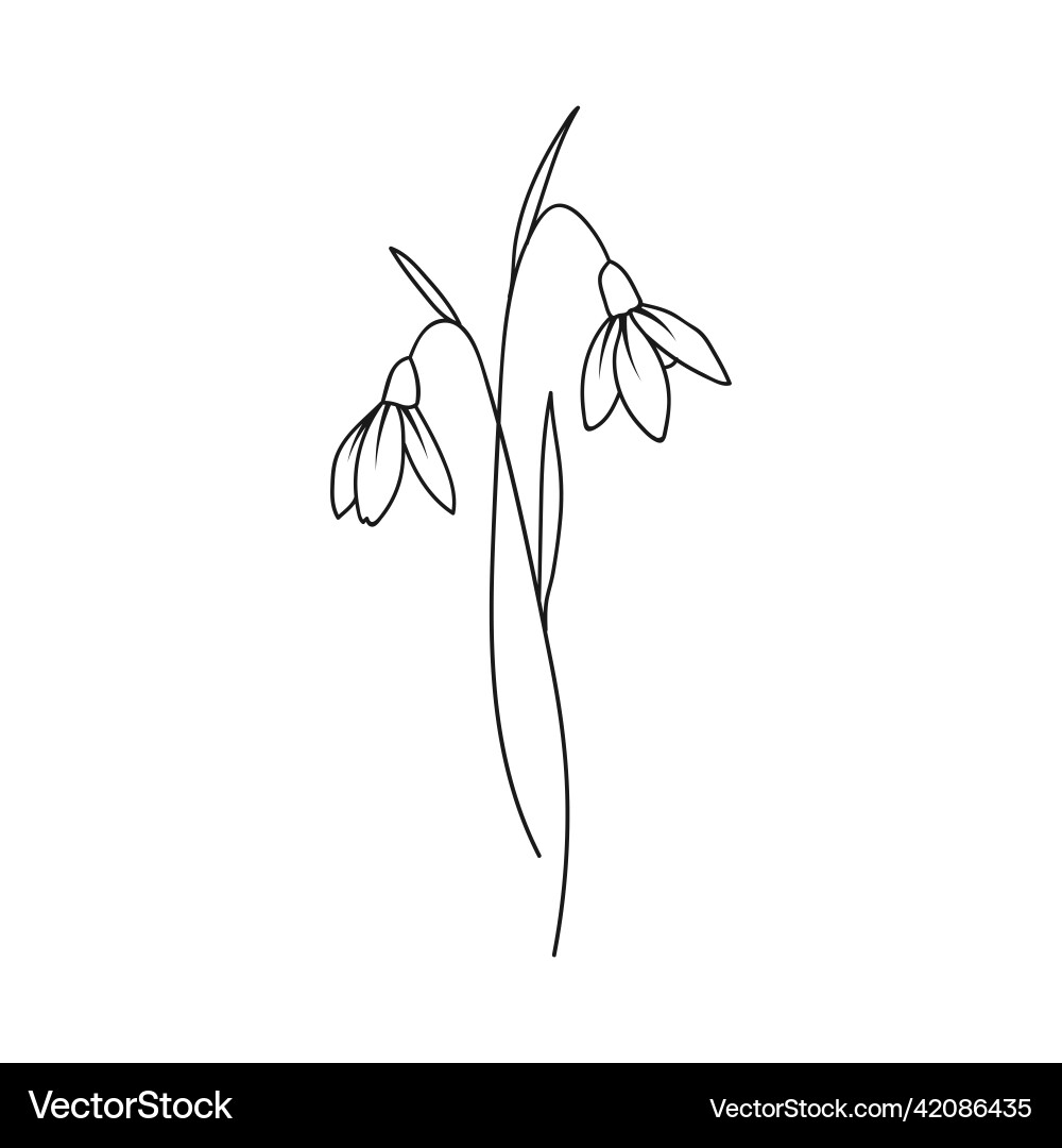 snowdrop flower tattoo