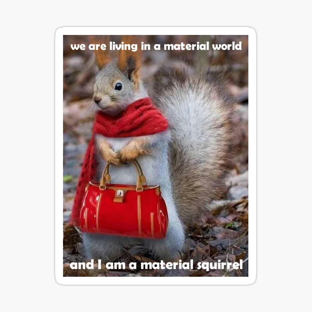 squirrel memes