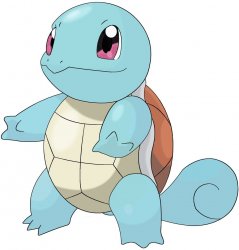 squirtle meme