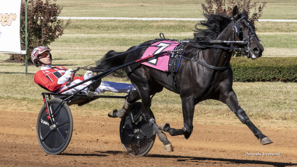 standardbred canada