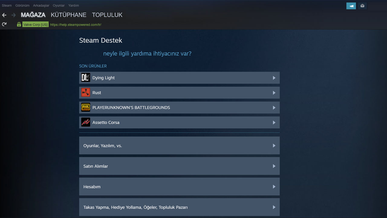 steam destek