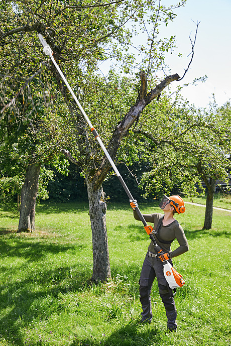 stihl pole chainsaw