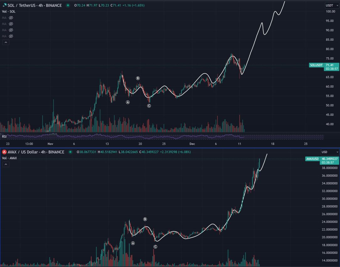 stopelon coin fiyat