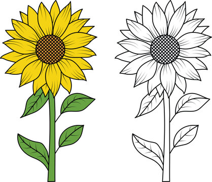 sunflower clipart