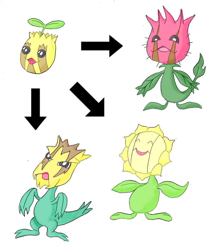 sunkern evolution