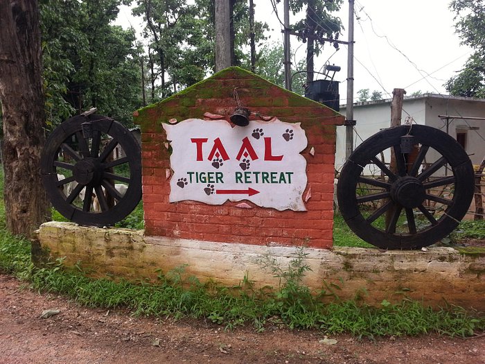 taal tiger retreat