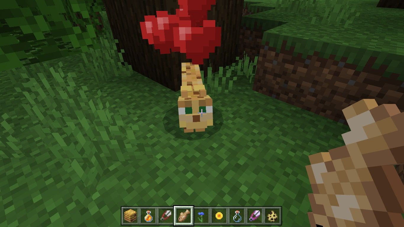 tame an ocelot in minecraft