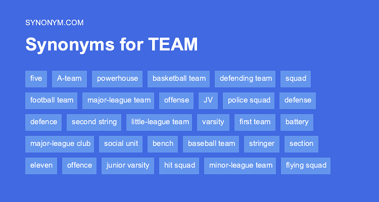 team member thesaurus