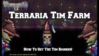 terraria tim