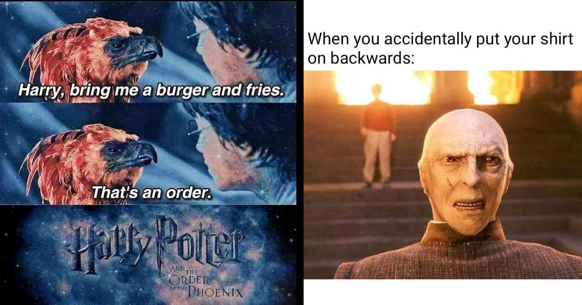 thank you harry potter meme