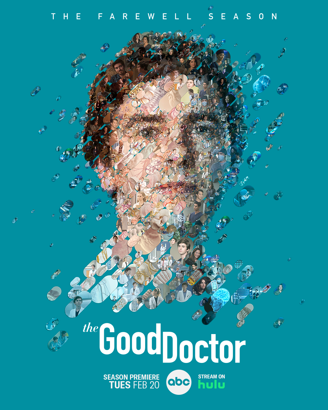 the good doctor net