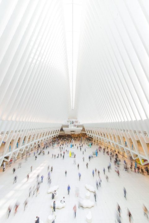 the oculus