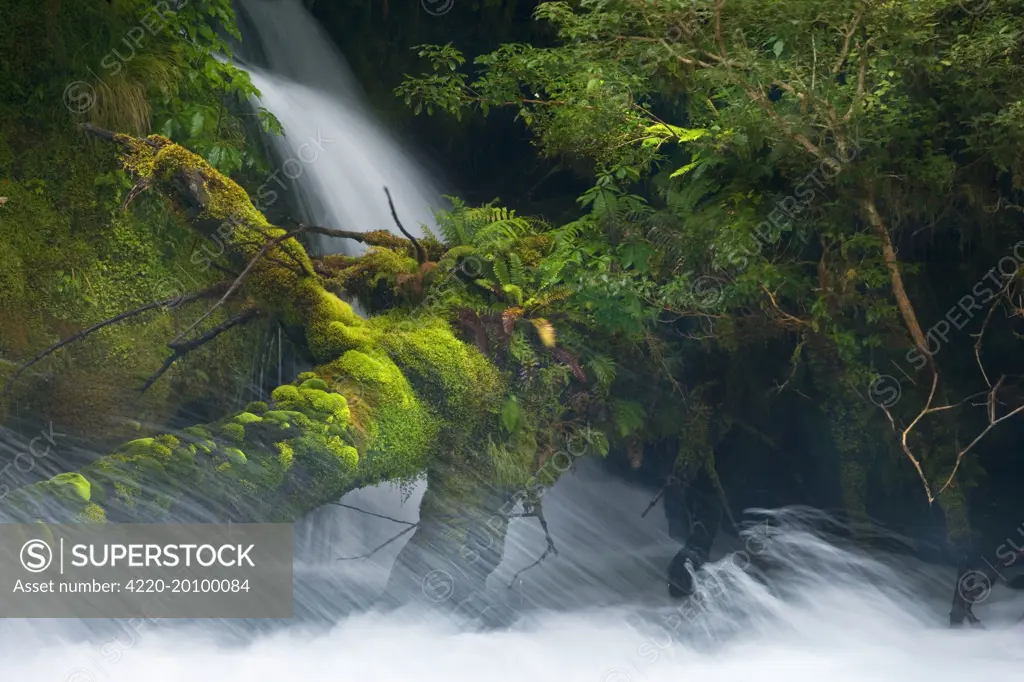 the river wild torrent