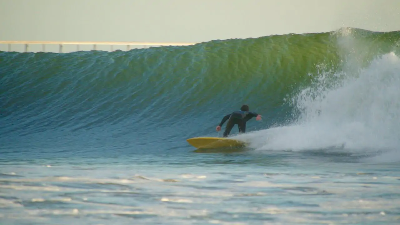 the surfers view salt creek