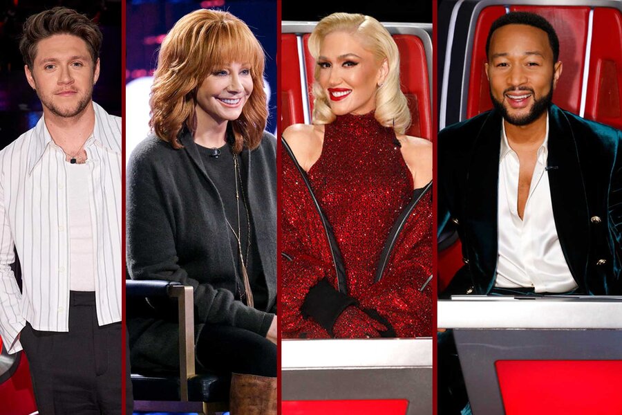 the voice us jury